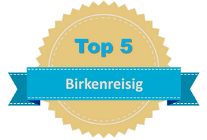 Top 5 Birkenreisig Top 5 Birkenreisig